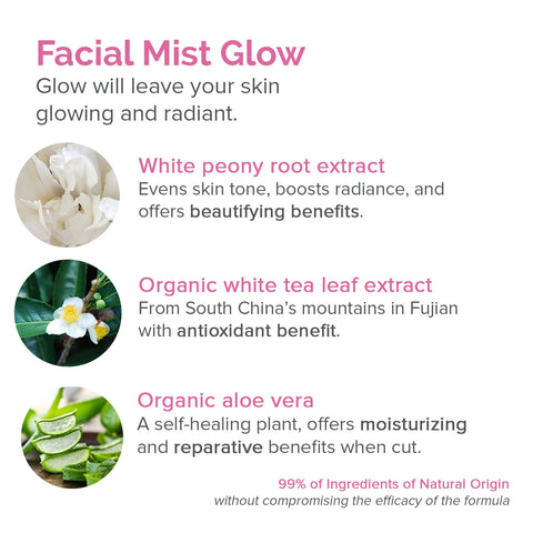 Evian Facial Mist Glow 100ml